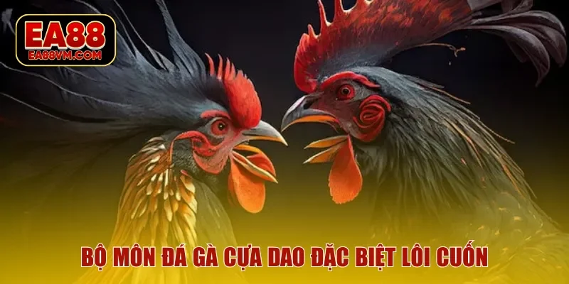 Bộ môn đá gà cựa dao đặc biệt lôi cuốn
