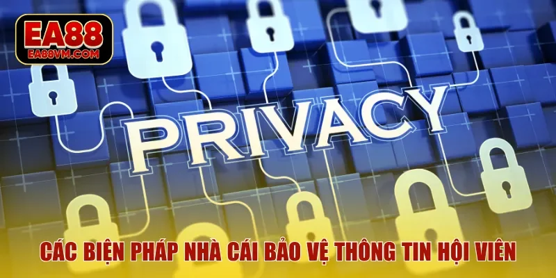 Các biện pháp nhà cái bảo vệ thông tin hội viên