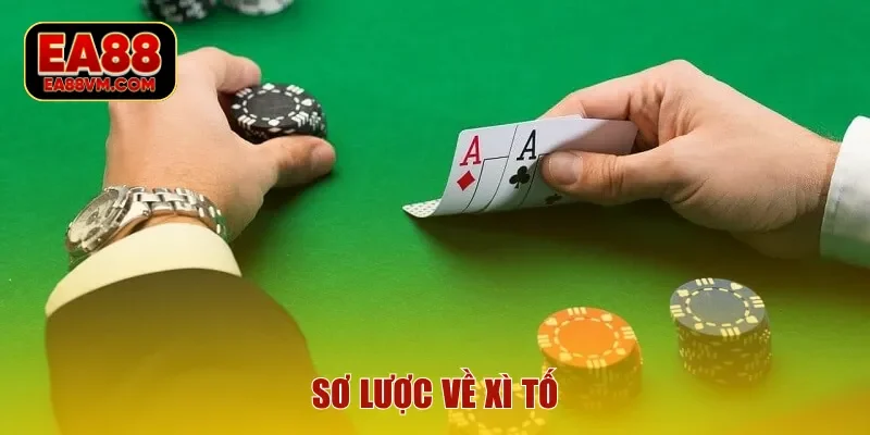 Sơ lược về xì tố